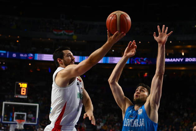 EuroBasket, European Basketball Championship, Hungary - Slovenia