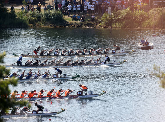 Dragon Boat Cup 2022 at the Allersee Wolfsburg, Impresions