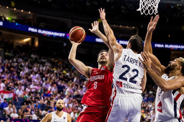EuroBasket, European Basketball Championship, France - Hungary