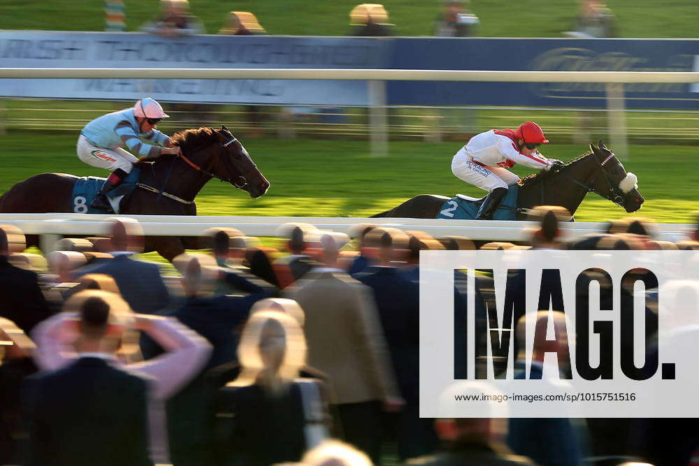 Horse racing York Races YANIFER ridden by Oisin McSweeney and trained ...