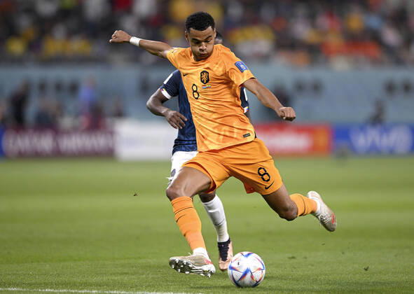 FIFA Fußball WM 2022, Spieler im Fokus, Cody Gakpo, Niederlande