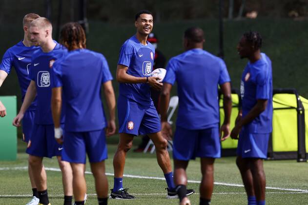 FIFA WM 2022, Nationalteam Niederlande, Training