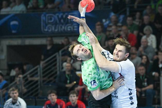 Handball, HBL, Füchse Berlin - SG Flensburg-Handewitt