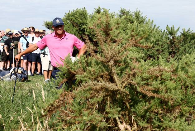 Mandatory Credit: Photo by James Marsh Shutterstock (13995948ap) Bryson DeChambeau of USA and team Crushers gets a ruling from the bushes during his round. LIV Golf Invitational London, Day Two, Golf, Centurion Club, Hemel Hempstead, UK - 08 Jul 2023 LIV Golf Invitational London, Day Two, Golf, Centurion Club, Hemel Hempstead, UK - 08 Jul 2023 Copyright: xJamesxMarsh Shutterstockx 13995948ap