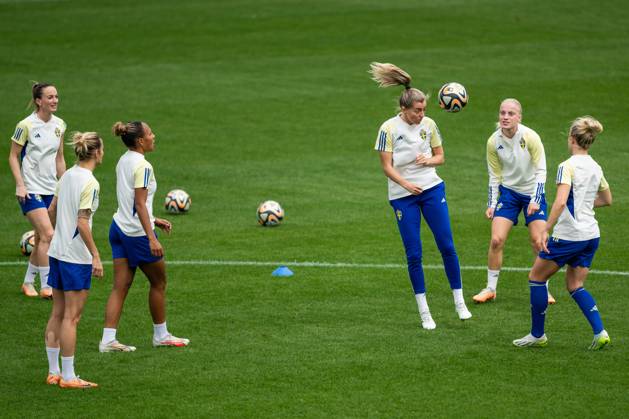 FIFA Womens World Cup 2023, National Team Sweden, Training and Media Roundtable