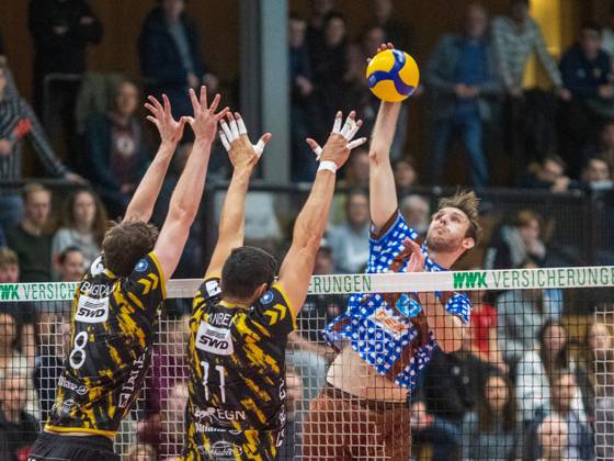 Volleyball, DVV Cup, WWK Volleys Herrsching - Powervolleys Düren