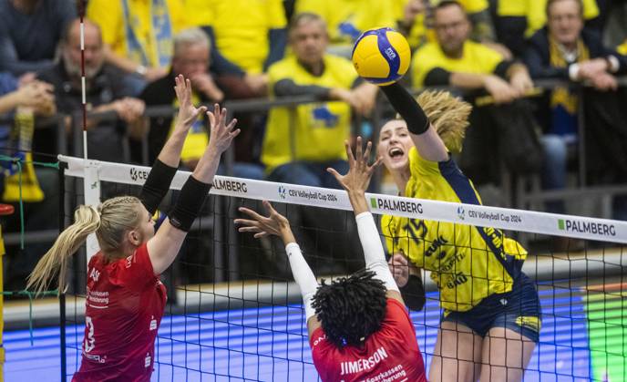 Volleyball, CEV Cup, SSC Palmberg - Dresdner SC