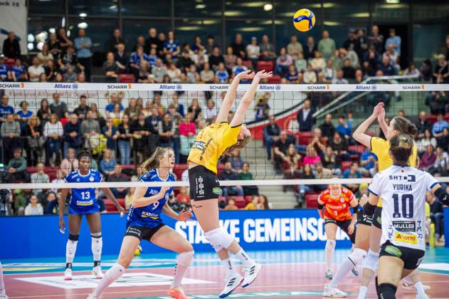 Volleyball, Women, VBL, Allianz MTV Stuttgart - VFB 91 Suhl