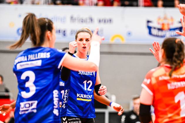 Volleyball, VBF, Dresdner SC - Allianz MTV Stuttgart