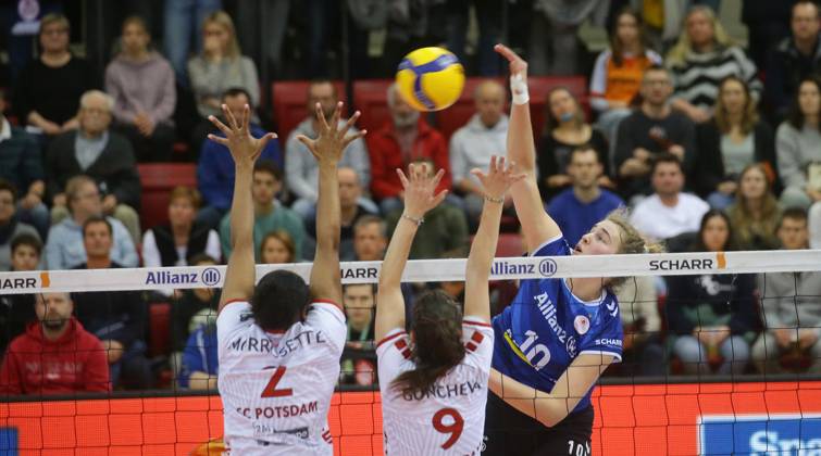Volleyball, Women, Allianz MTV Stuttgart - SC Potsdam