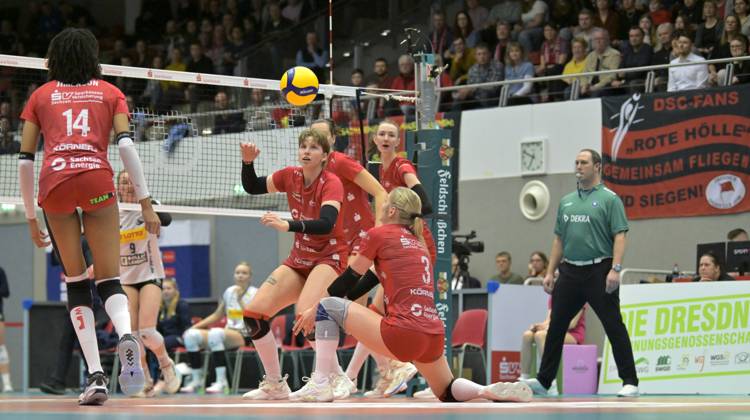 Volleyball, Women, Dresdner SC - VfB Suhl