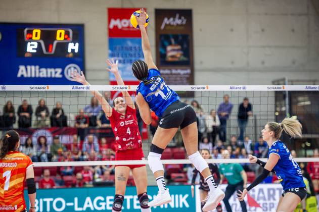Volleyball, Women, Allianz MTV Stuttgart - Dresdner SC