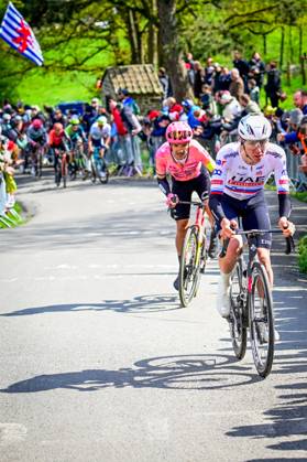 Ecuadorian Richard Carapaz of EF Education-EasyPost and Slovenian Tadej Pogacar of UAE Team Emirates pictured in action during the men elite race of the Liege-Bastogne-Liege one day cycling event, 254,5 km km from Liege, over Bastogne to Liege, Sunday 21 April 2024. POOLxPETERxDExVOECHT x91377185x