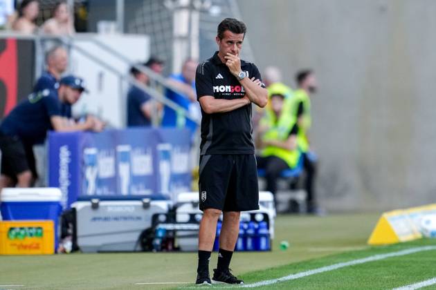 Marco Silva coach, head coach, Fulham , cropped, full body, single image, single photo, action, action, thoughtful, worried, pessimistic, 10 08 2024, Sinsheim Germany , football, test match, TSG 1899 Hoffenheim FC Fulham, DFB DFL REGULATIONS PROHIBIT ANY USE OF PHOTOGRAPHS AS IMAGE SEQUENCES AND OR QUASI VIDEO xozx