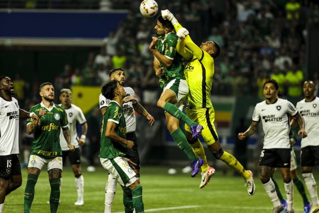 Match between Palmeiras and Botafogo for the Conmebol Libertadores 2024 Sao Paulo (SP), 08 21 2024 - LIBERTADORES PALMEIRAS X BOTAFOGO - Shot during the match between Palmeiras and Botafogo, valid for the second leg of the round of 16 of the Copa Conmebol Libertadores, on the evening of this Wednesday, August 21, 2024, at Allianz Parque, in Sao Paulo-SP. (Foto: Pedro Paulo Diaz Thenews2 imago images) SPO Copyright: xPedroxPauloxDiazx