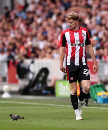 London, England, 31st August 2024. Brentford s Nathan Collins tries to get a pigeon off the pitch during the Premier League match at Gtech Community Stadium, London. Picture credit should read: David Klein Sportimage EDITORIAL USE ONLY. No use with unauthorised audio, video, data, fixture lists, club league logos or live services. Online in-match use limited to 120 images, no video emulation. No use in betting, games or single club league player publications. SPI-3288-0021
