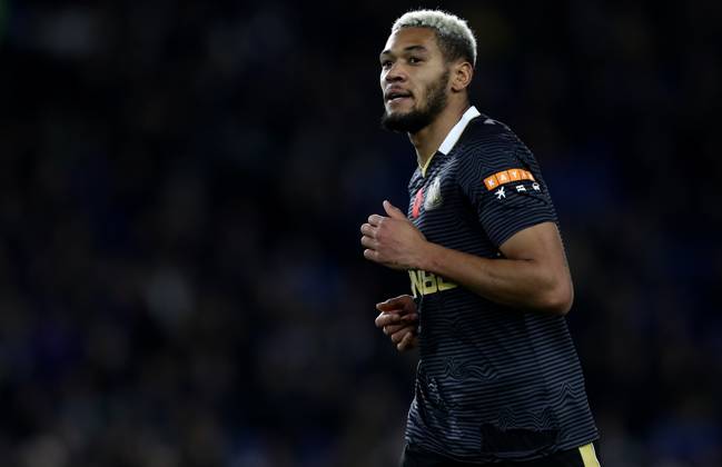 Brighton and Hove Albion v Newcastle United - Premier League - AMEX Stadium November 6, 2021, Brighton and Hove, United Kingdom: Brighton and Hove, England, 6th November 2021. Joelinton of Newcastle United during the Premier League match at the AMEX Stadium, Brighton and Hove. Picture credit should read: Paul Terry Sportimage Brighton and Hove United Kingdom EDITORIAL USE ONLY Copyright: xx ZUMA-20211106_zaf_si1_242.jpg PaulxTerryx csmphototwo817519