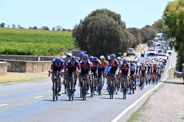 25-01-2025 Tour Down Under; Tappa 05 Mclaren Vale - Willunga Hill; 2025, Picnic - Postnl; 