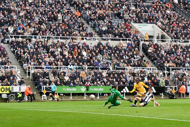 Newcastle United v Brighton and Hove Albion FA Cup 02 03 2025. 5th Round GOAL- Yankuba Minteh of Brighton & Hove Albion scores a goal 1-1 during the FA Cup match between Newcastle United and Brighton and Hove Albion at St. James s Park, Newcastle, England on 2 March 2025. Newcastle St. James s Park Tyne and Wear England Editorial use only DataCo restrictions apply See www.football-dataco.com , Copyright: xRyanxBrownex PSI-21551-0050