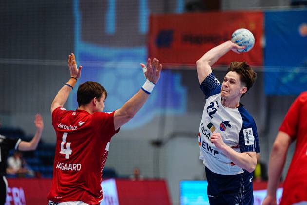Handball, HBL, Handball Club Hamburg - 1. VfL Potsdam