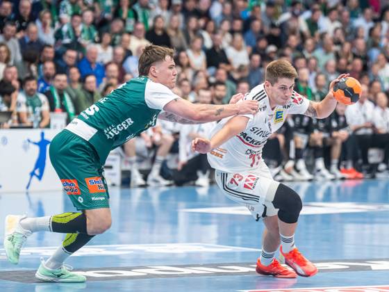 Handball, HBL, Frisch Auf Göppingen - HC Erlangen