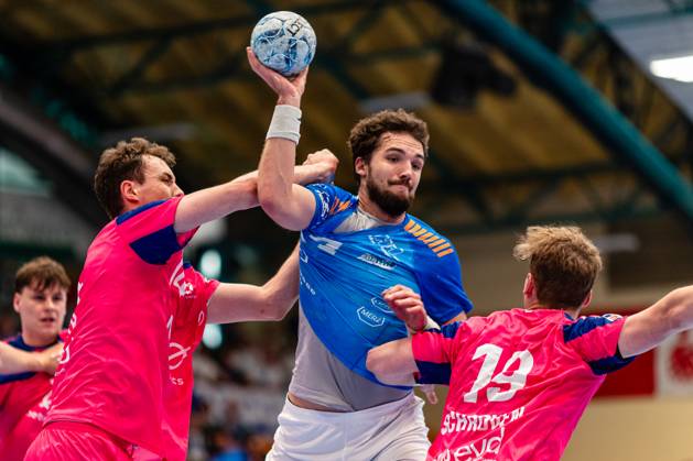 Handball, 2. BL, Dessau-Roßlauer HV 2006 - TSV Bayer Dormagen
