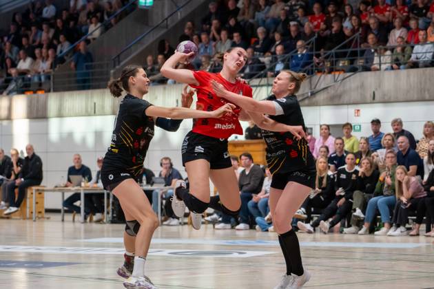 Handball, HBF2, VfL Waiblingen - TG Nürtingen