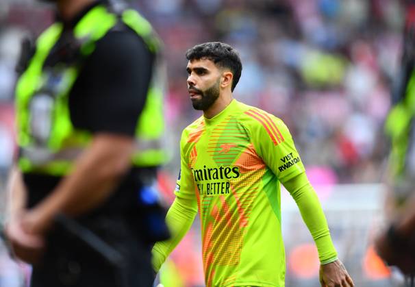 Southampton v Arsenal, Premier League, Football, St. Marys Stadium, Southampton, Hampshire, UK - 25 May 2025 David Raya of Arsenal at full time. Southampton St Marys Stadium Hampshire GBR, UK NEWSPAPERS OUT Copyright: xMarkxEnfieldx