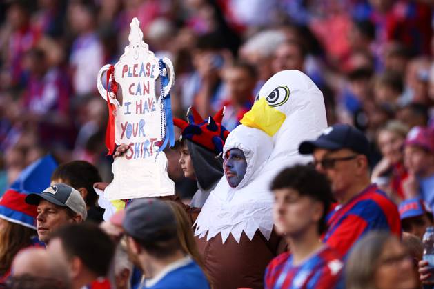 Crystal Palace gegen Manchester City 17. Mai 2025, London FA Cup Finale Crystal Palace gegen Manchester City Ein als Adler verkleideter Palace-Fan Foto Jacques Feeney Offside London UK  Copyright: xJacquesxFeeneyx xOffsidexOffside