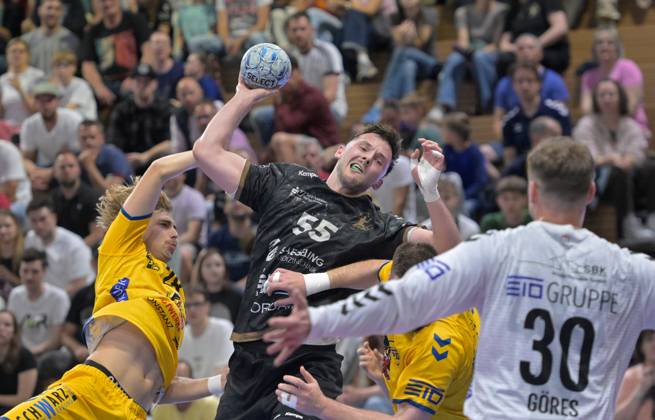 Handball, 2. BL, HC Elbflorenz Dresden - HSG Konstanz