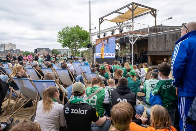 Handball, HBL, Rhein-Neckar Löwen - Füchse Berlin, Public Viewing in Berlin