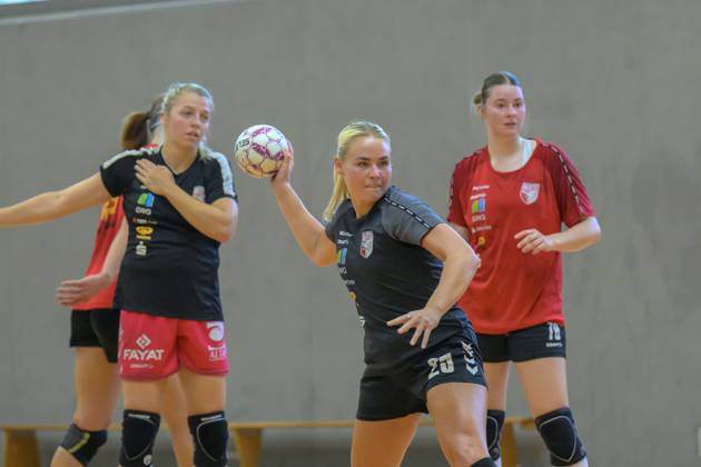 Handball, Women, SV Union Halle-Neustadt, Training kick-off