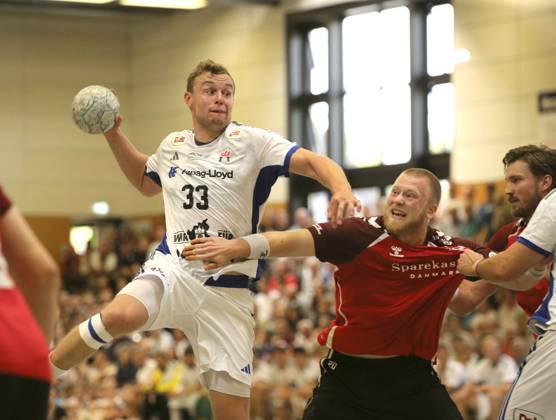 Handball, Heide-Cup, Final, Club Hamburg - Aalborg Handbold