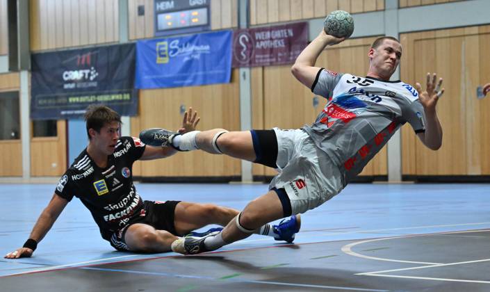Handball, Test match, HC Erlangen - TV Großwallstadt
