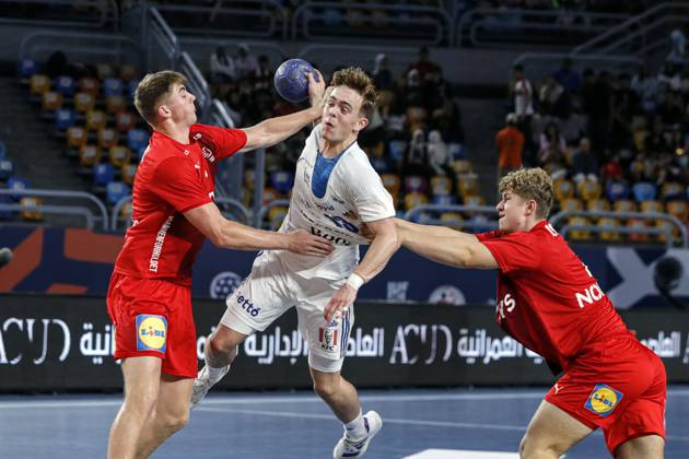 Handball, U19 World Championship, Denmark - Iceland
