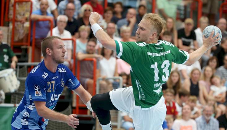 Handball, DHB Cup, Wölfe Würzburg - TV Großwallstadt