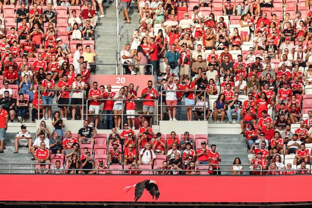 Portugal, Lisbon 2025 08 12 xJFx Second leg Third qualifying round Uefa Champions League 2025 26 , S L Benfica OGC Nice v l , Eagle Ãguia Vitoria the Benfica Lisbon mascot flies in the stadium, the fans in the background Copyright: JoaquimxFerreira