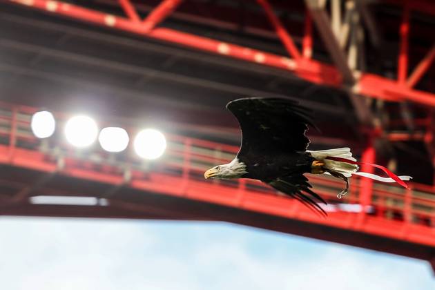 Portugal, Lisbon 2025 08 12 xJFx Second leg Third qualifying round Uefa Champions League 2025 26 , S L Benfica OGC Nice v l , Eagle Ãguia Vitoria the mascot of Benfica Lisbon flies in the stadium Copyright: JoaquimxFerreira