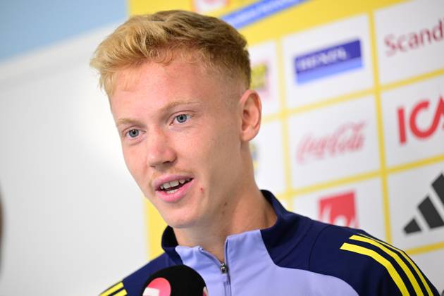 Football, World Cup qualifiers, Sweden national team, Press conference