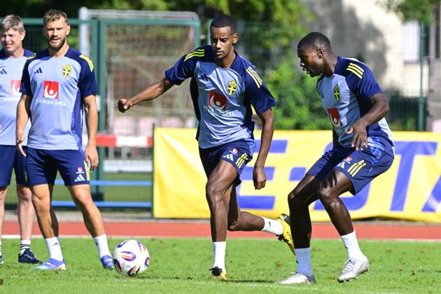 Football, World Cup qualifiers, Sweden national team, Training