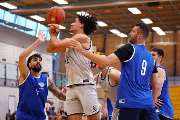 Basketball, Test match, MHP Riesen Ludwigsburg - MLP Academics Heidelberg