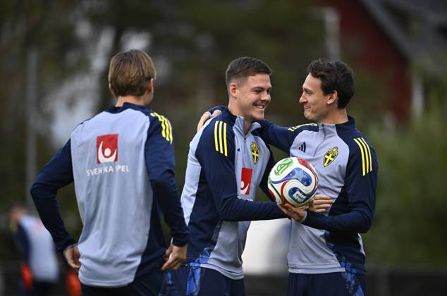 Football, Sweden national team, Training