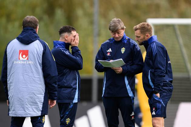 Football, Sweden national team, Training