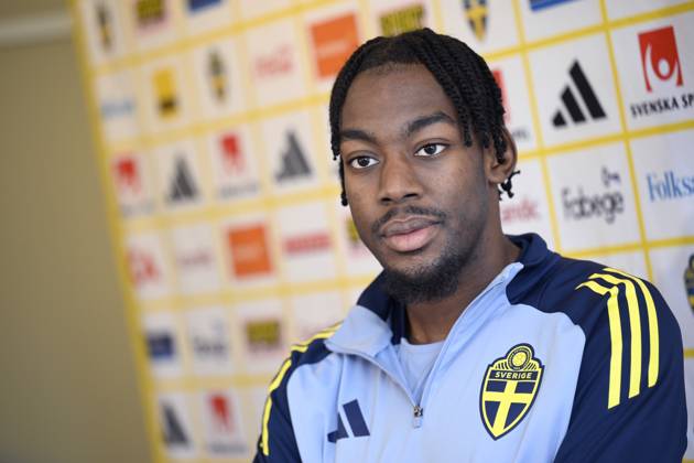 Football, Sweden national team, Training