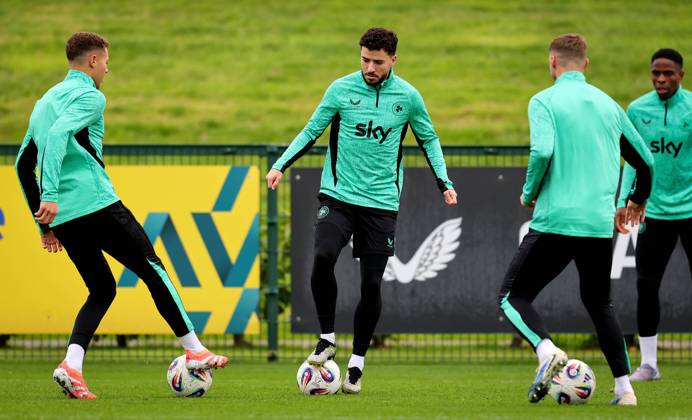 Football, Ireland national team, Training