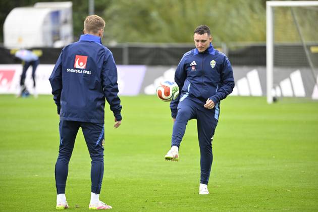Football, Sweden national team, Training