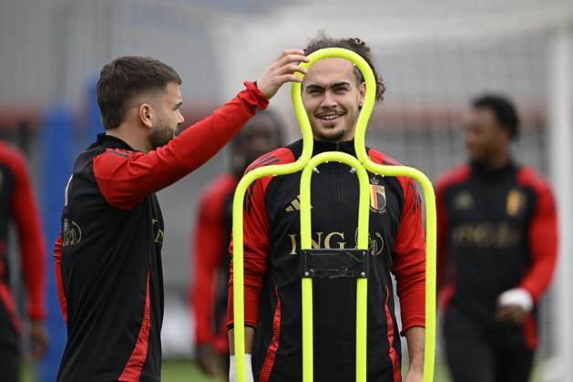 Football, Belgium national team, Training