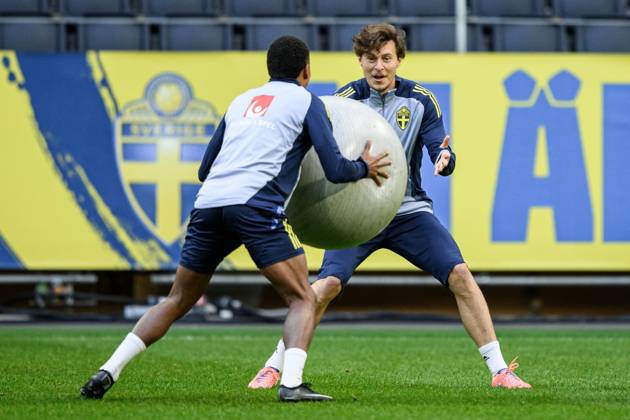 Football, Sweden national team, Training