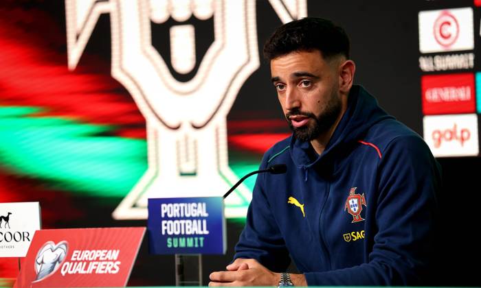 Football, World Cup qualifiers, Portugal national team, Press conference