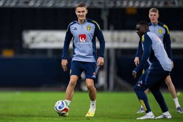 Football, Sweden national team, Training